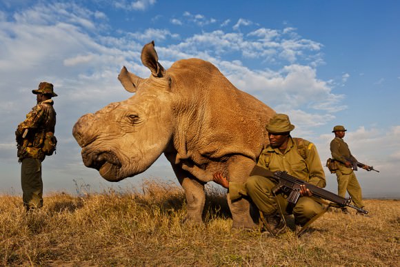 08_Brent-Stirton-580x387