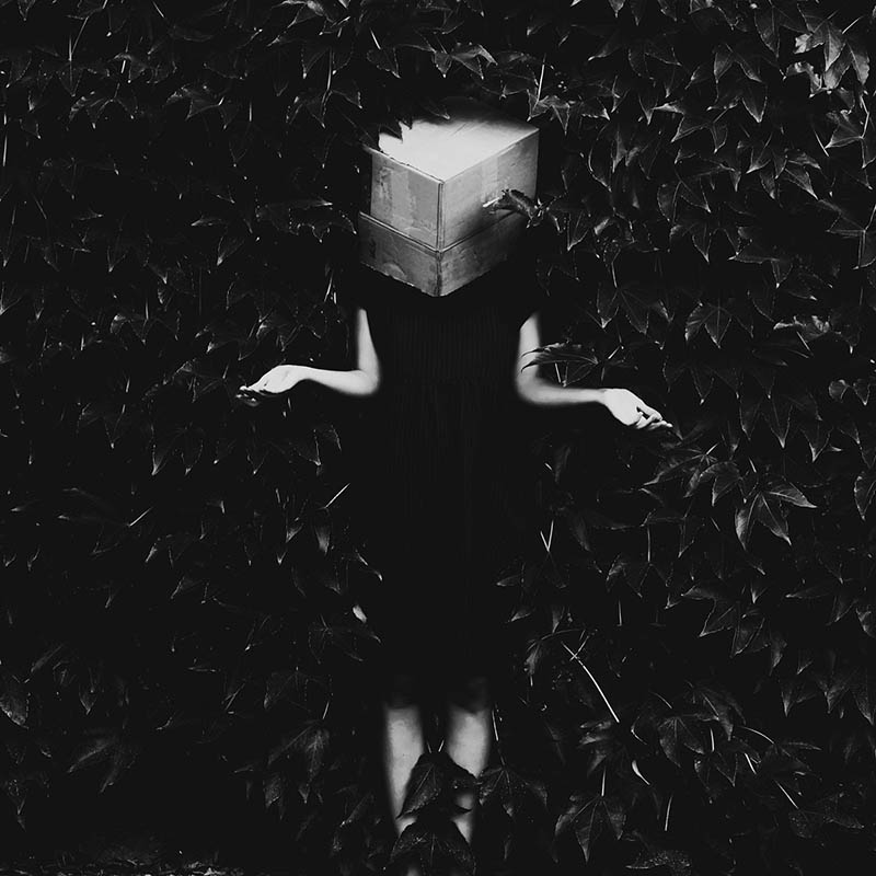 How to think inside the box