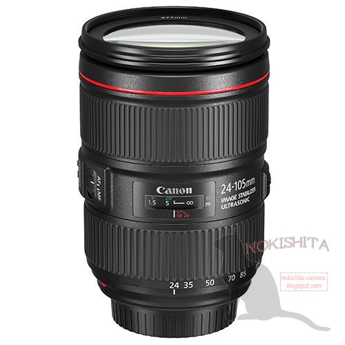 Canon 24-105 F4L (2)