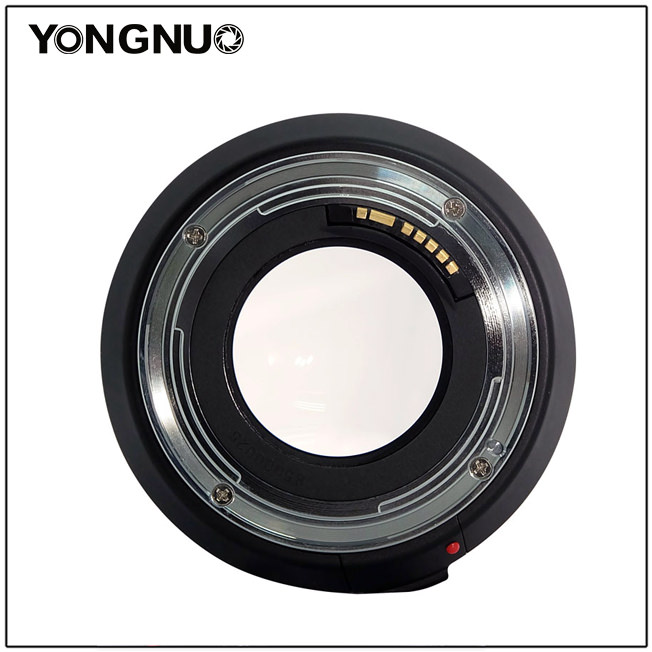 Yongnuo 85 mm F1 (6)