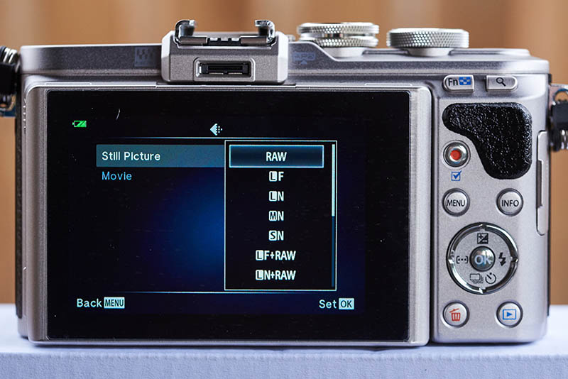 Olympus E-PL8 (12)