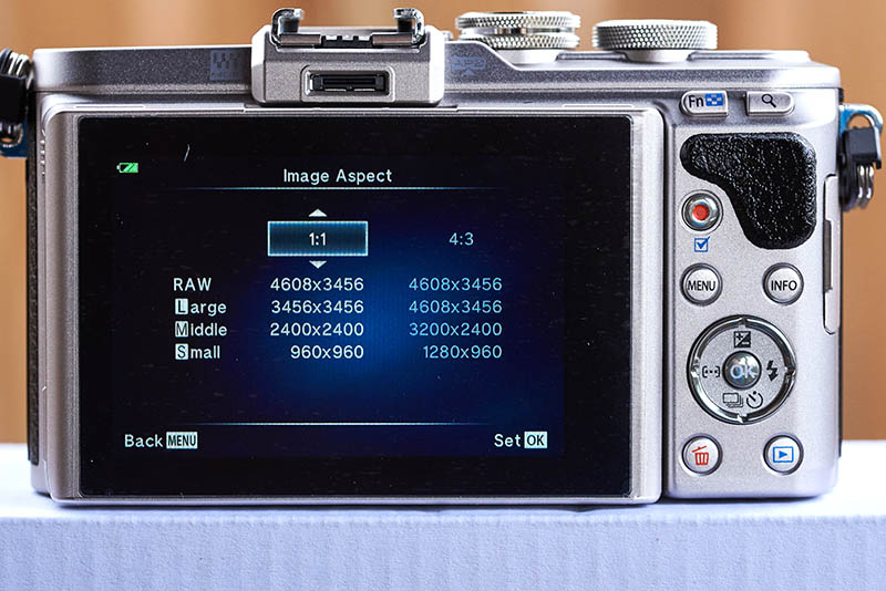 Olympus E-PL8 (13)