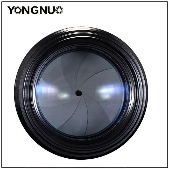 Yongnuo 100mm f2 (2)