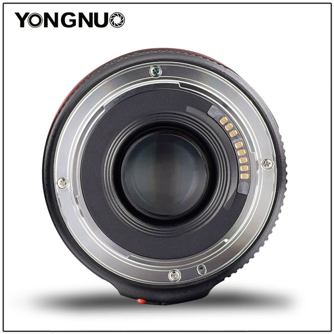 Yongnuo 50 mm F1.8 II (1)