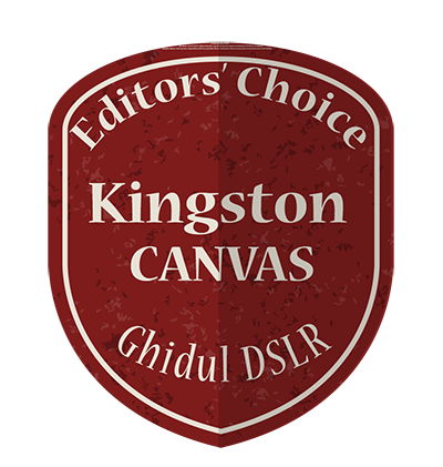 editors' choice kingston canvas