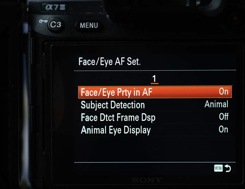 Sony A7III Firmware 3 (3)