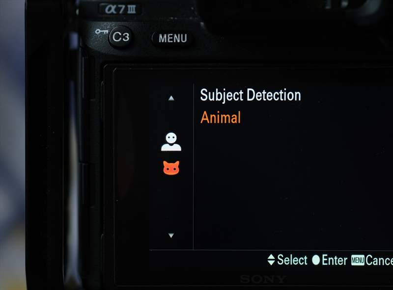 Sony A7III Firmware 3 (7)