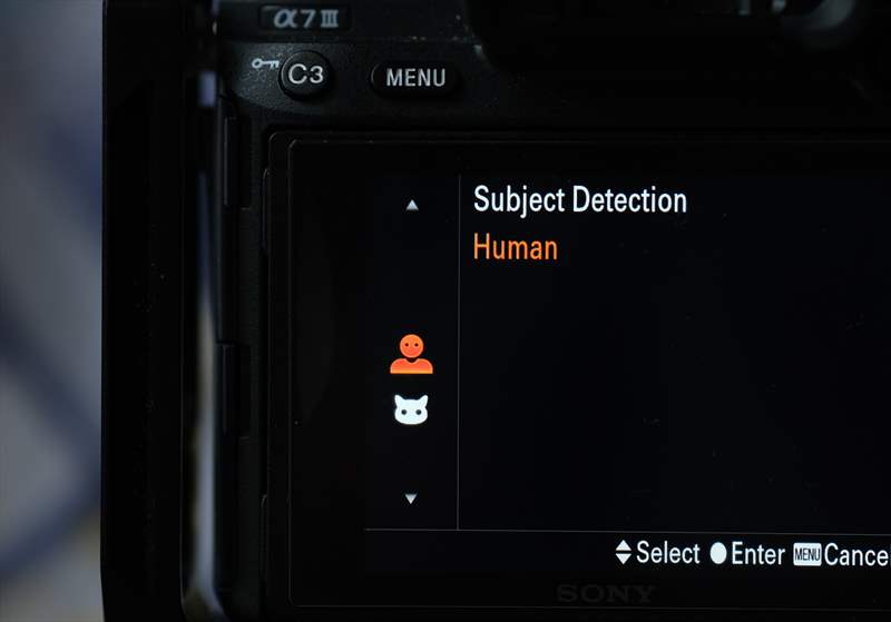 Sony A7III Firmware 3 (9)