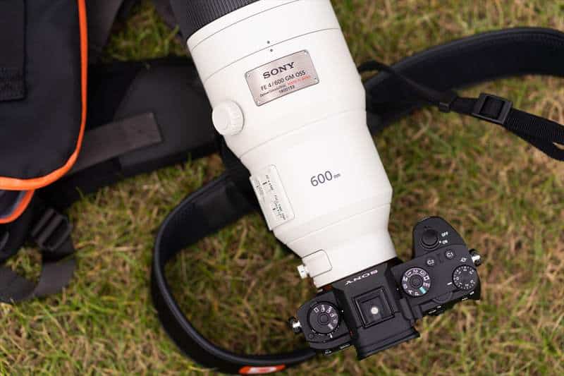 Sony 600 mm F4 G-Master (15)