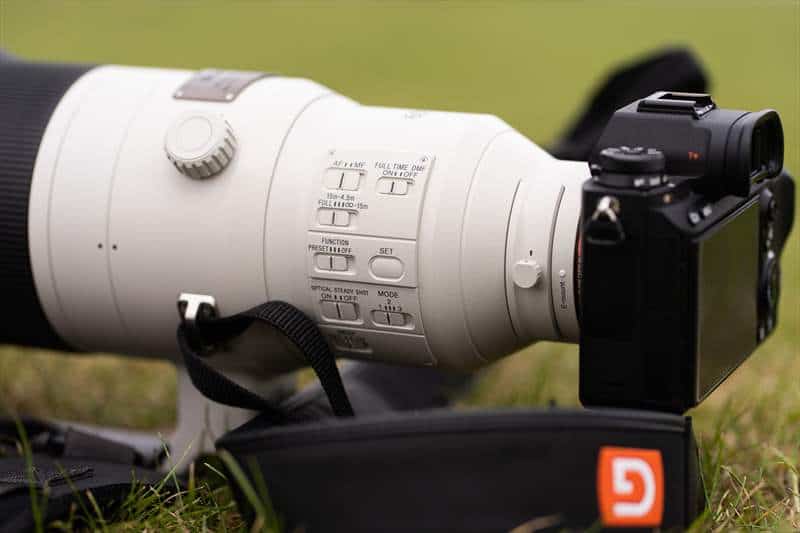 Sony 600 mm F4 G-Master (16)