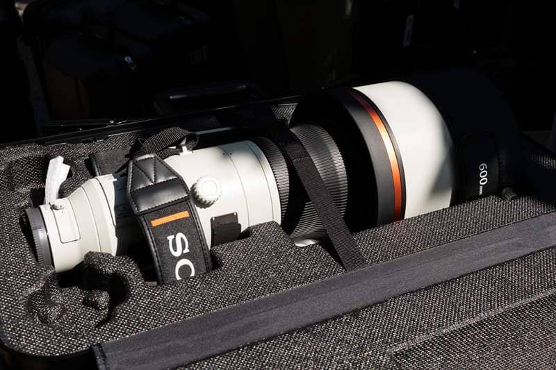 Sony 600 mm F4 G-Master (19)