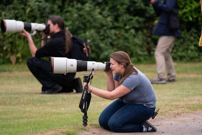 Sony 600 mm F4 G-Master (2)