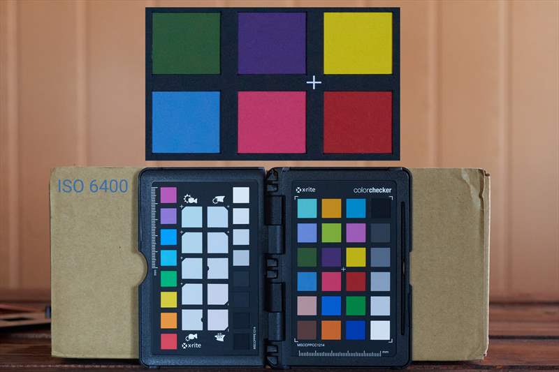 DSC00472 - ISO 6400 - 100%