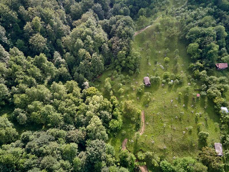 DJI_0031