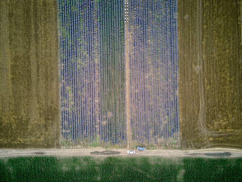 DJI_0054