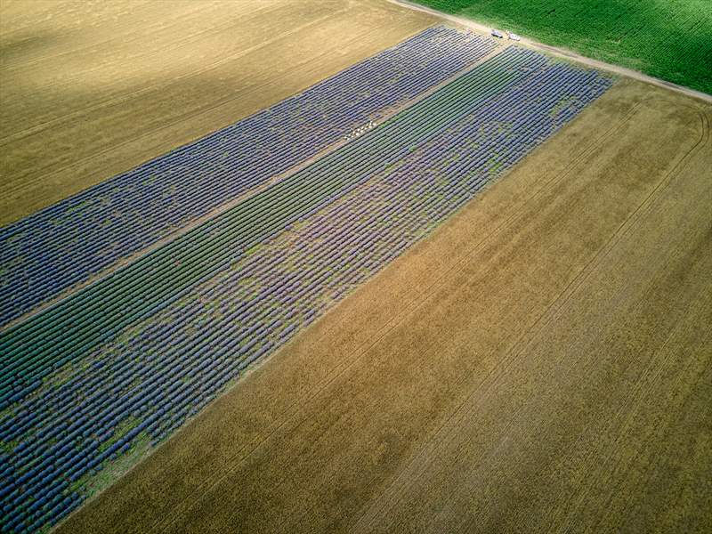 DJI_0063