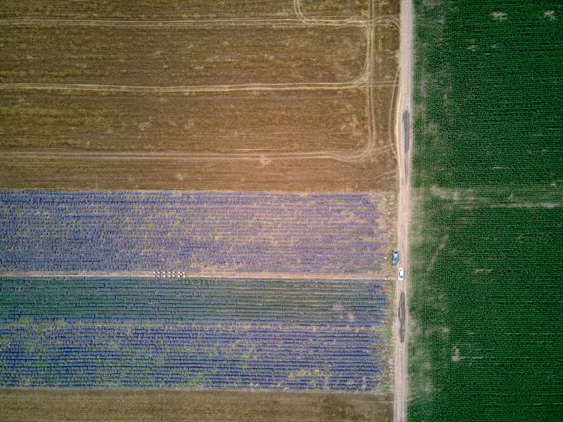 DJI_0097