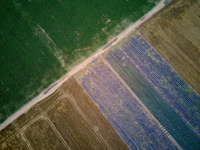 DJI_0110