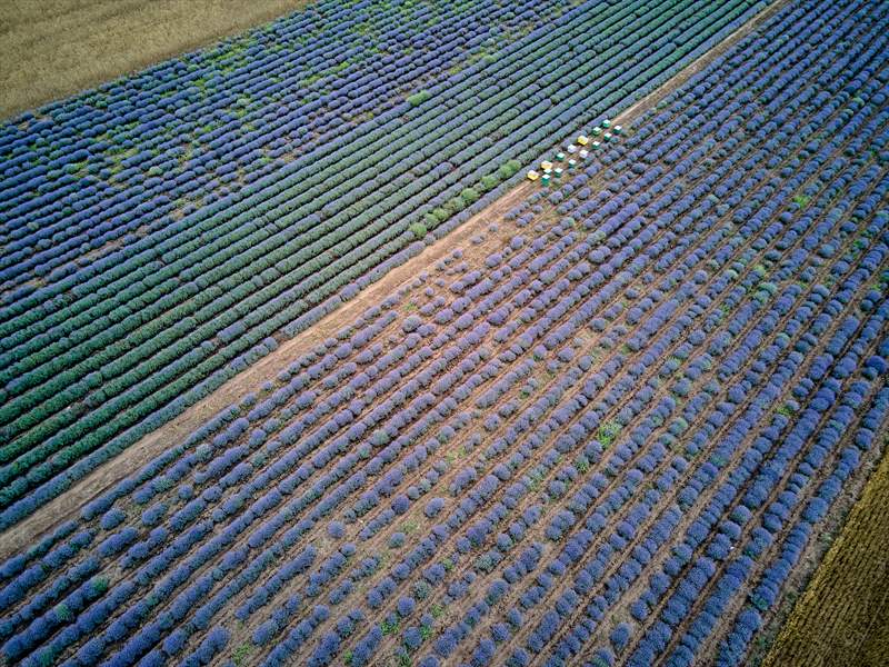 DJI_0112