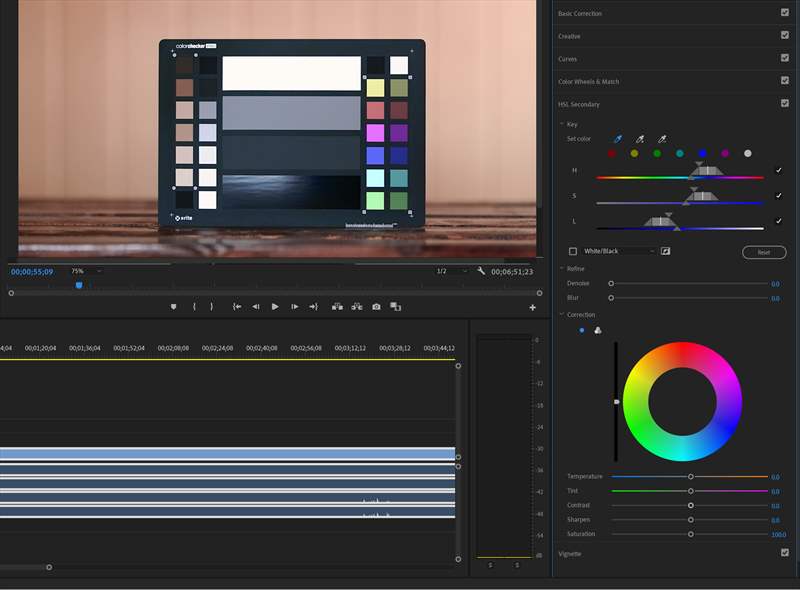 ColorChecker - Premiere Pro (1)