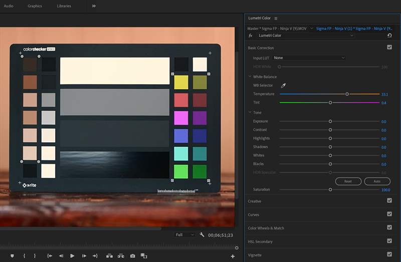 ColorChecker - Premiere Pro (2)