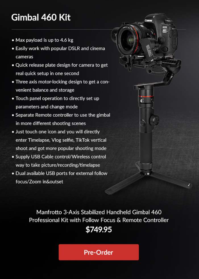 Manfrotto 460 (1)